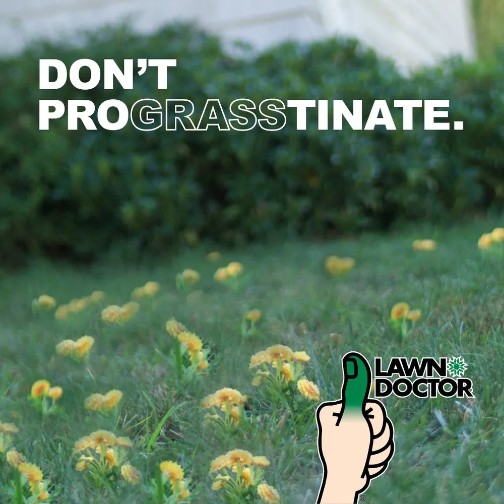 Trusted lawn care service for beautiful yards across Odessa, MO - Lawn Doctor