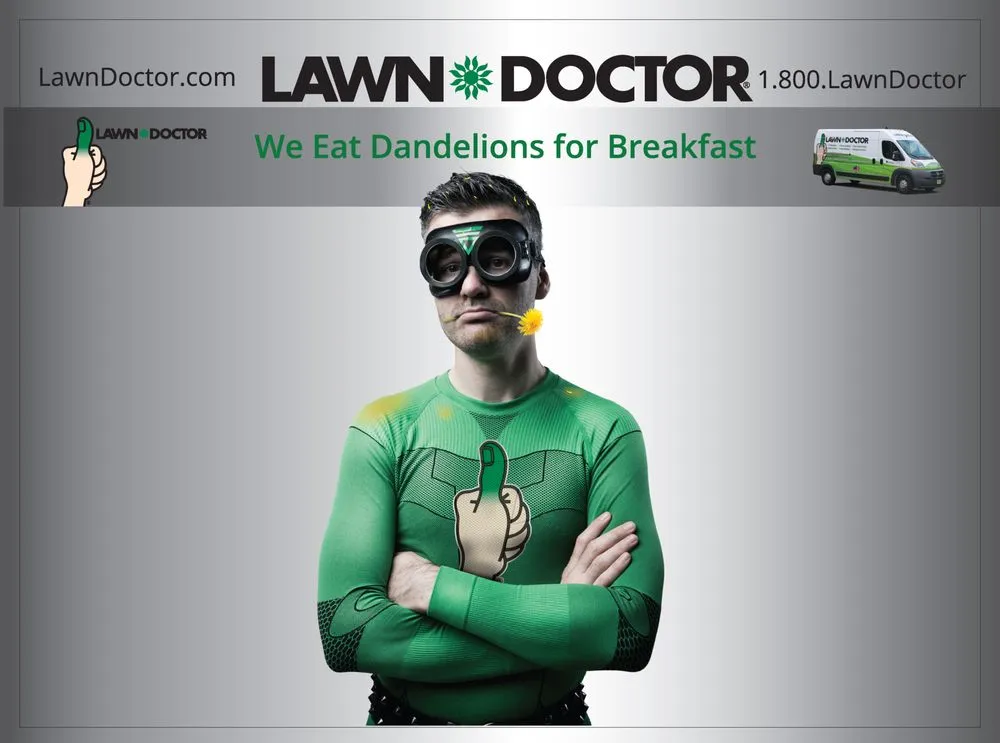 Affordable lawn mowing service for year-round maintenance in Odessa, MO by Lawn Doctor