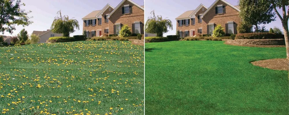 Expert residential landscaping for outdoor upgrades in Odessa, MO by Lawn Doctor