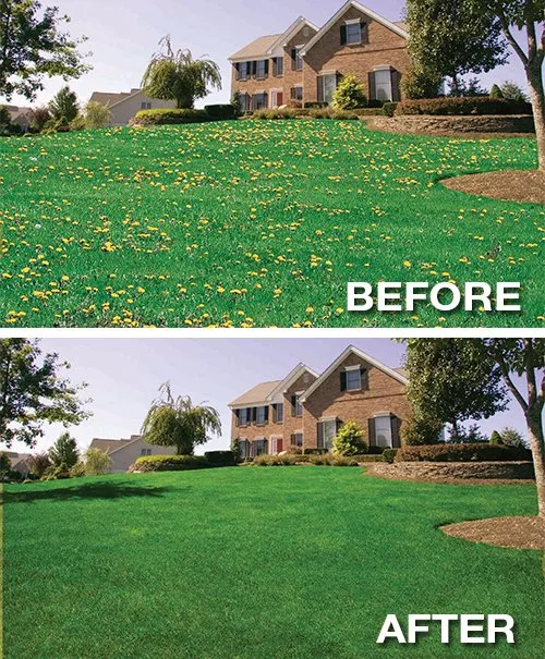Trusted outdoor landscaping for outdoor upgrades in Odessa, MO by Lawn Doctor