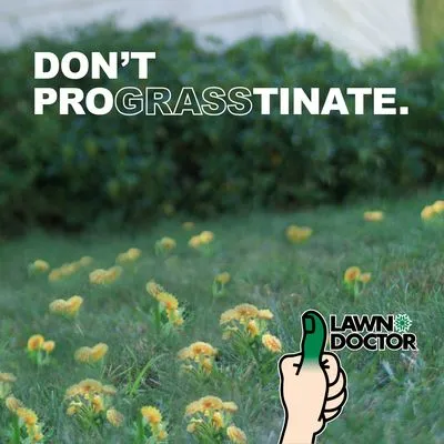 Lawn Doctor