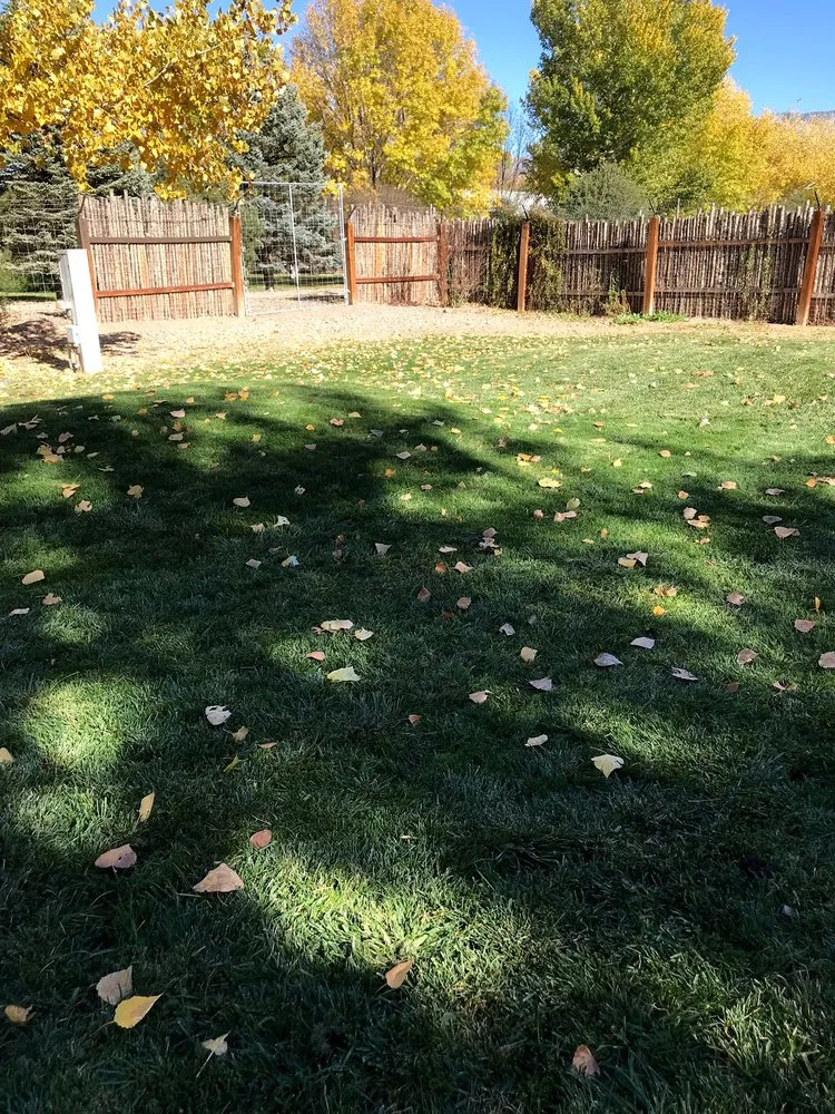 Affordable yard maintenance experts serving Albuquerque, NM - Lawn Doctor of Albuquerque