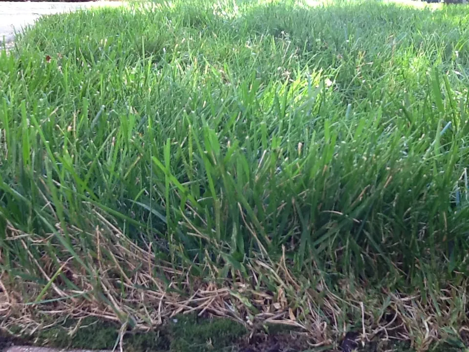 Custom residential landscaping for residential properties across Lake Villa, IL - Lawn Doctor of Antioch