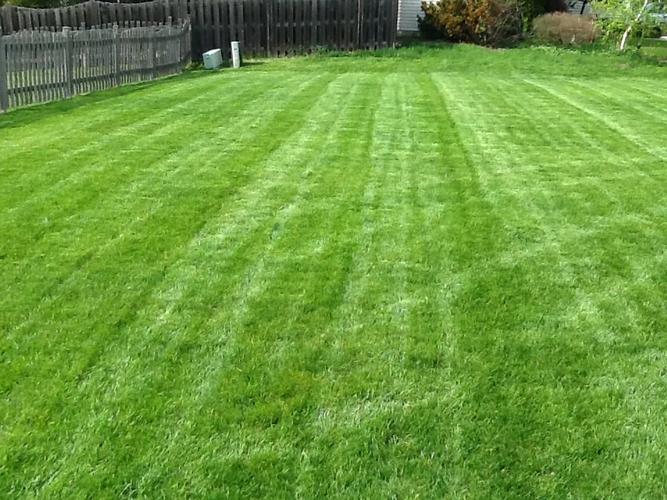 Local landscape design near you in Lake Villa, IL by Lawn Doctor of Antioch