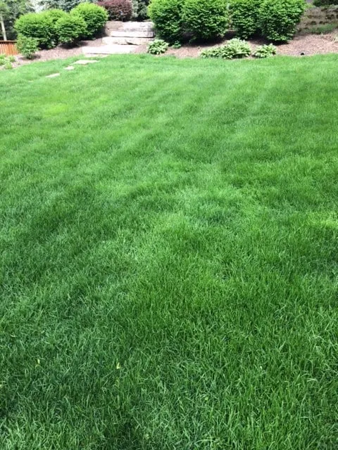 Custom lawn care service for homes in Lake Villa, IL by Lawn Doctor of Antioch