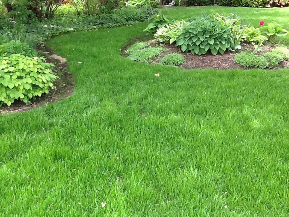 Reliable yard cleanup service for beautiful yards across Lake Villa, IL - Lawn Doctor of Antioch