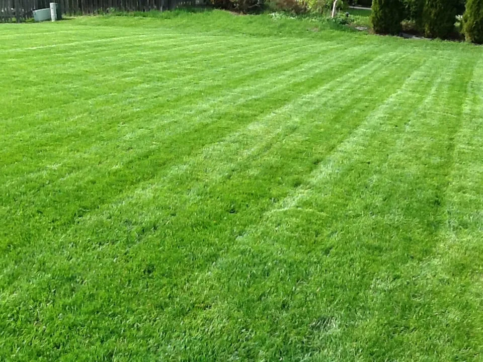 Reliable landscaping services for homes in Lake Villa, IL by Lawn Doctor of Antioch