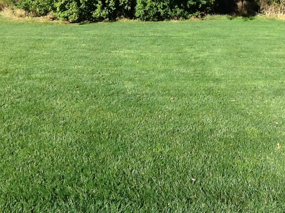 Custom garden landscaping with custom design across Lake Villa, IL - Lawn Doctor of Antioch