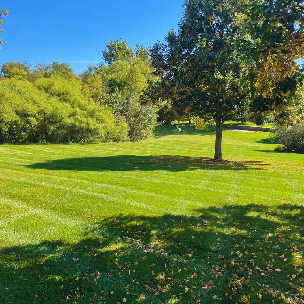 Local landscape installation for beautiful yards across Lake Villa, IL - Lawn Doctor of Antioch