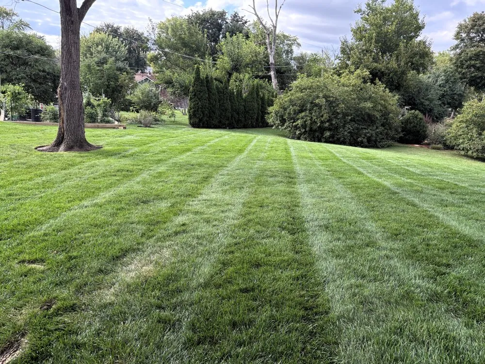 Local yard cleanup service experts serving Lake Villa, IL - Lawn Doctor of Antioch