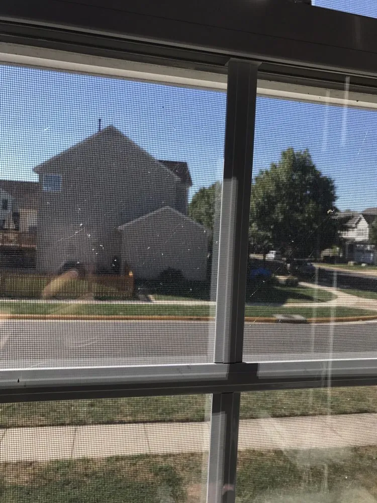 Custom yard cleanup service in Chantilly, VA - Lawn Doctor of Arlington