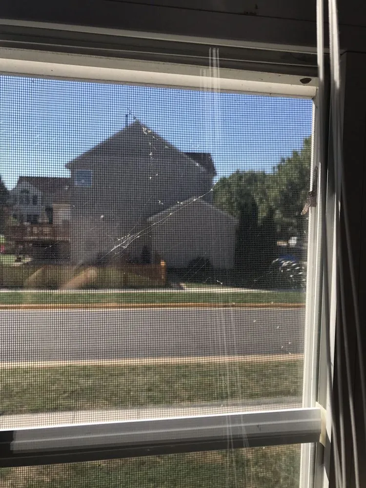 Affordable lawn mowing service in Chantilly, VA by Lawn Doctor of Arlington