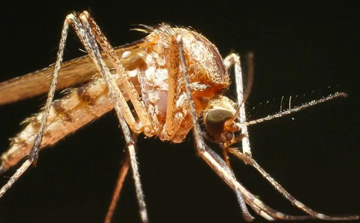 Affordable landscaping services in Aston, PA - Lawn Doctor of Aston-Middletown