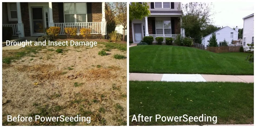 Affordable yard maintenance experts serving Batavia, IL - Lawn Doctor of Batavia-Aurora