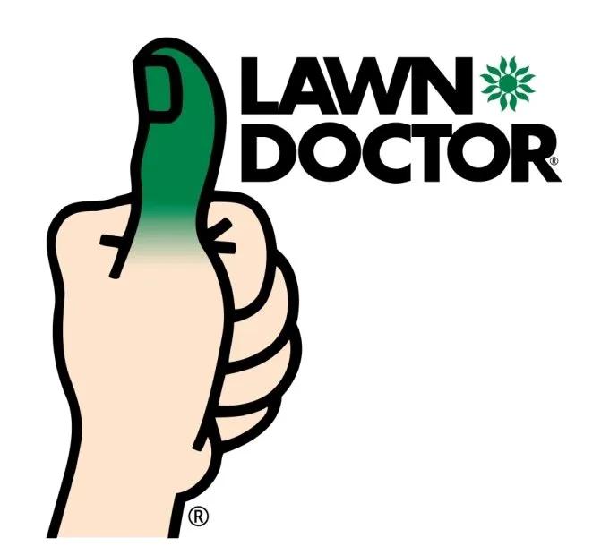 Custom landscape design in Bayport, NY by Lawn Doctor of Bayport-Sayville