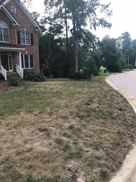 Custom landscape installation in Apex, NC - Lawn Doctor of Cary-Apex