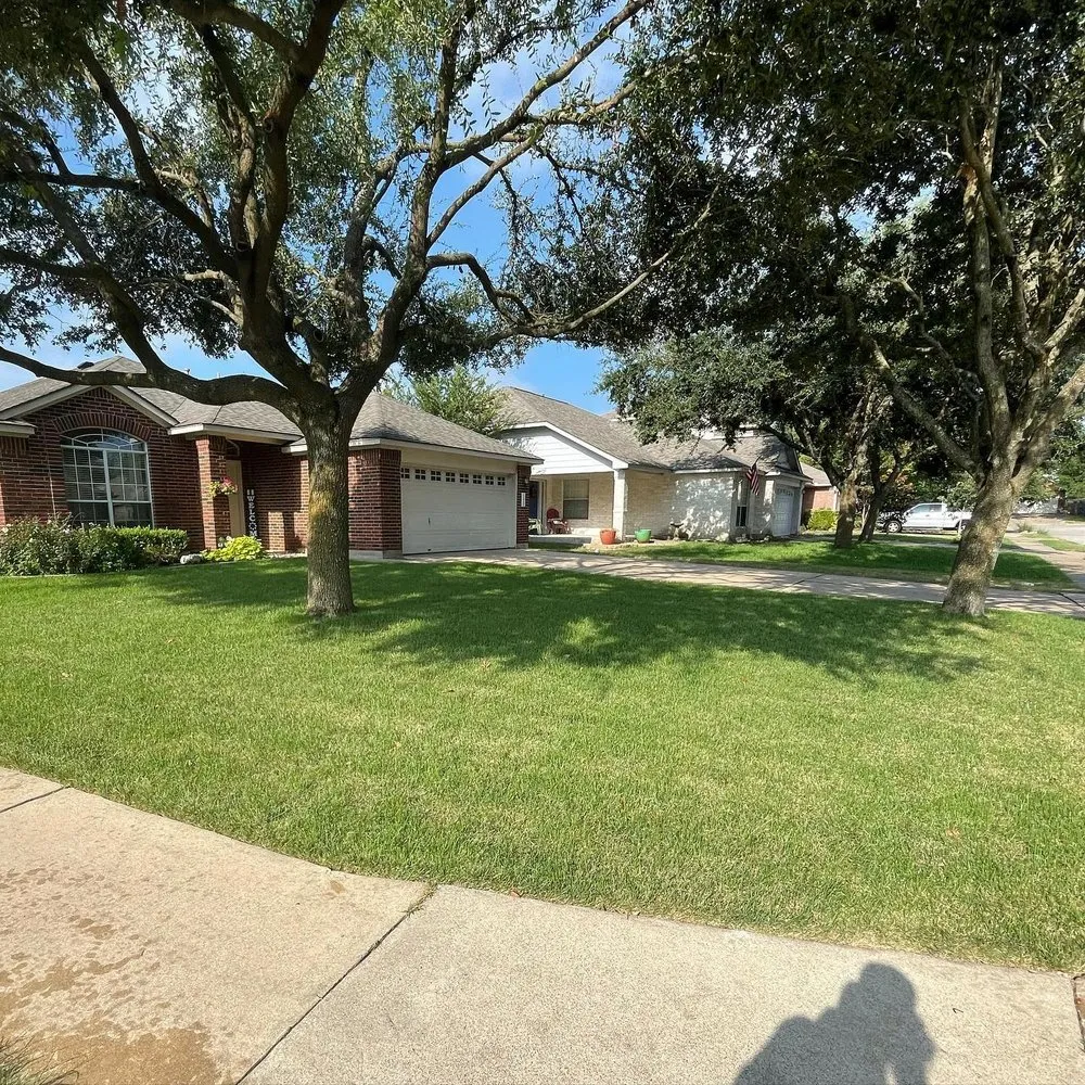 Expert landscape design in Leander, TX - Lawn Doctor of Cedar Park-Leander & Avery Ranch-Lake Travis