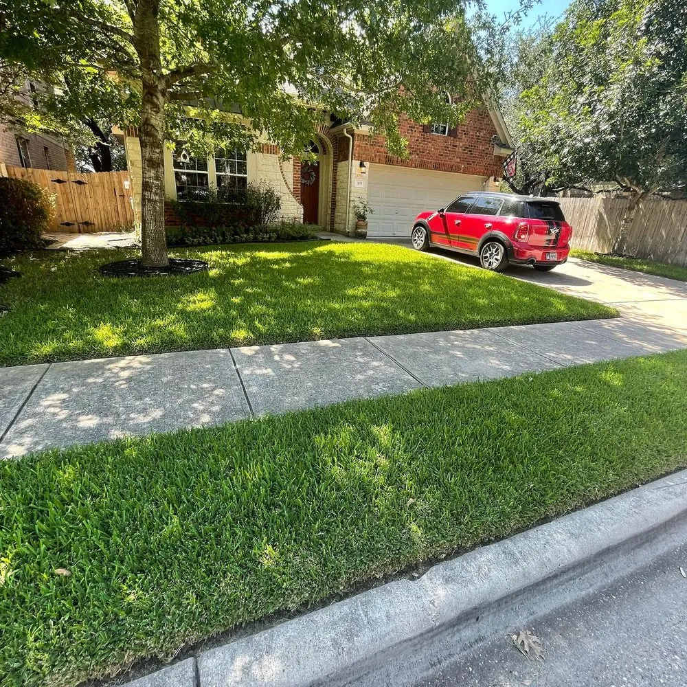 Professional yard cleanup service experts serving Leander, TX - Lawn Doctor of Cedar Park-Leander & Avery Ranch-Lake Travis