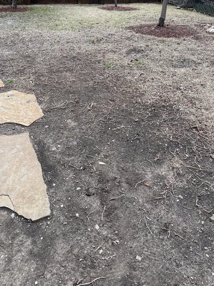 Local lawn care service experts serving Leander, TX - Lawn Doctor of Cedar Park-Leander & Avery Ranch-Lake Travis