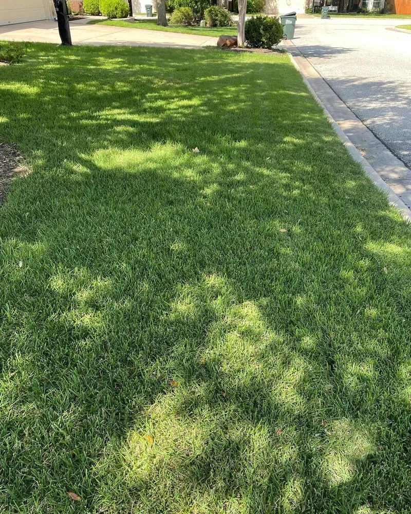 Trusted yard cleanup service in Leander, TX - Lawn Doctor of Cedar Park-Leander & Avery Ranch-Lake Travis