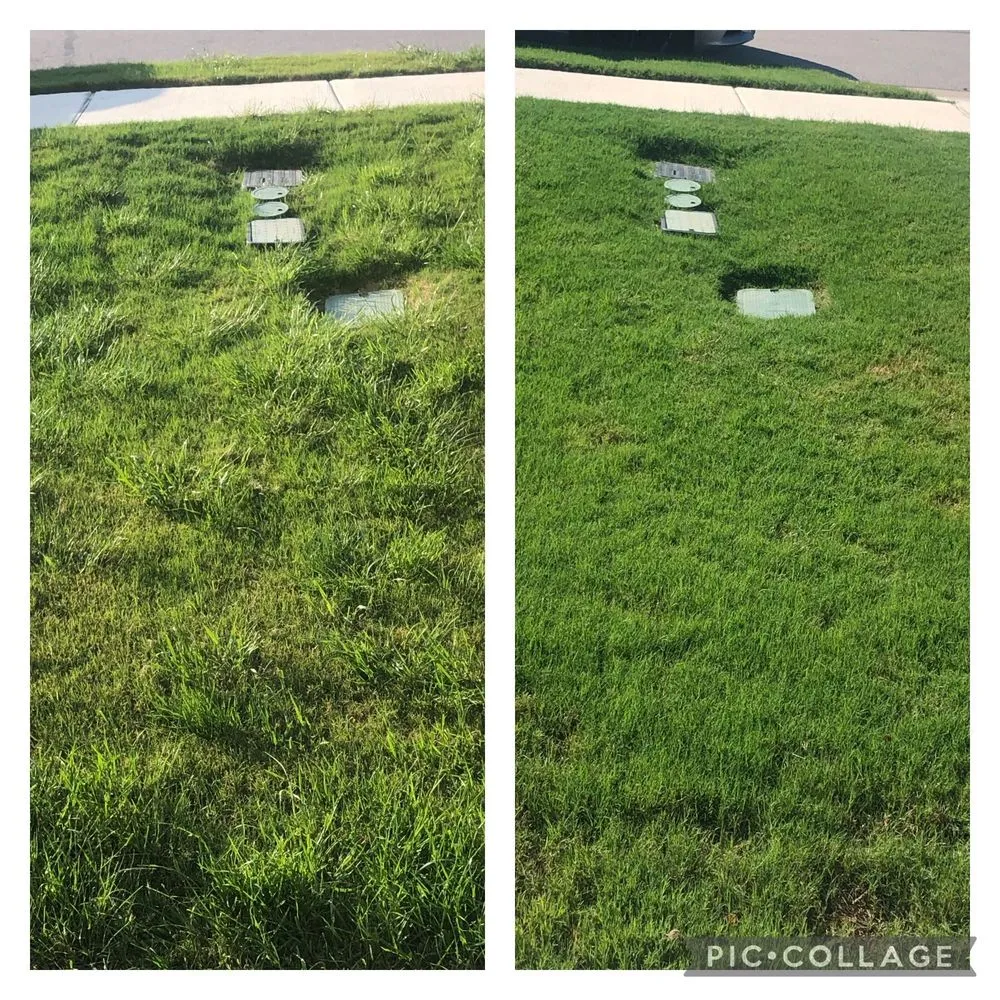 Local landscape design for homes in Leander, TX by Lawn Doctor of Cedar Park-Leander & Avery Ranch-Lake Travis