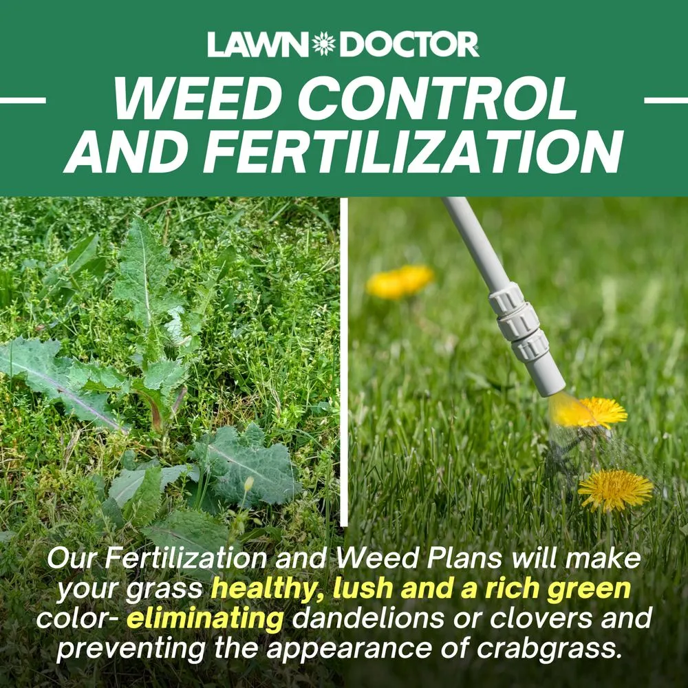 Top-rated lawn mowing service experts serving Chattanooga, TN - Lawn Doctor of Chattanooga