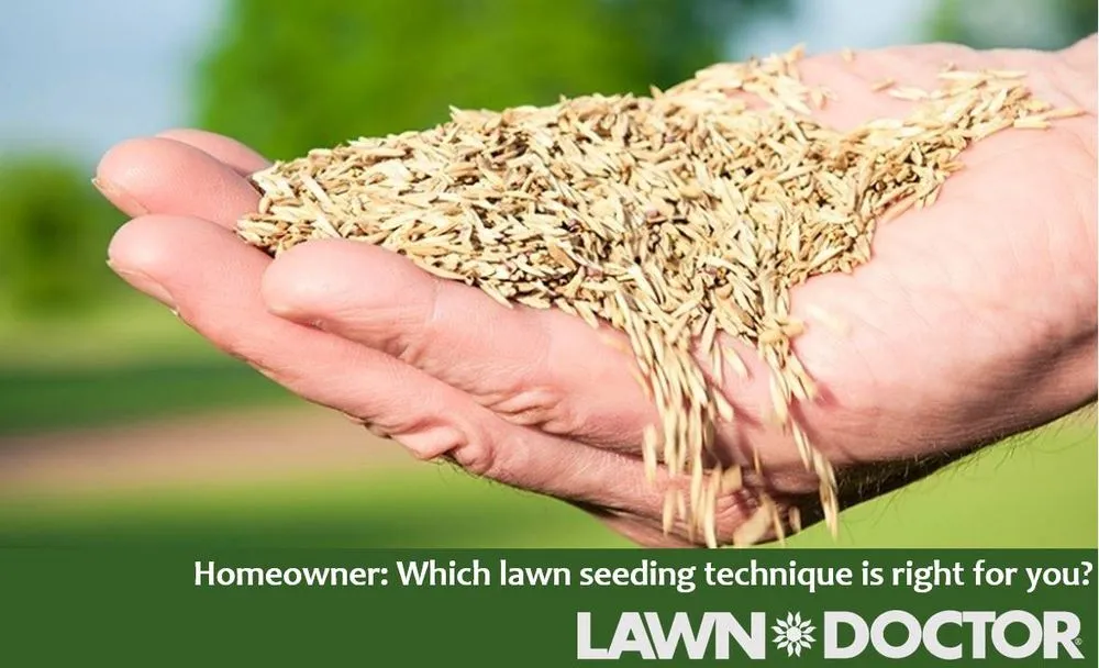 Trusted yard cleanup service experts serving Chattanooga, TN - Lawn Doctor of Chattanooga