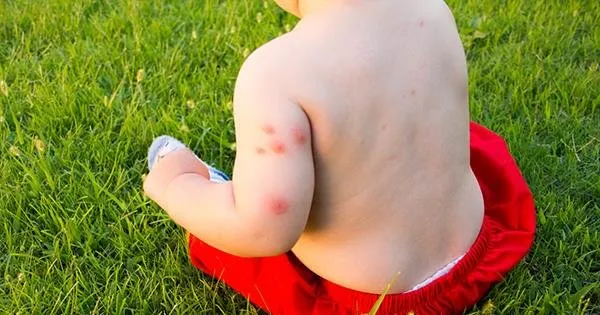 Local lawn mowing service experts serving Chattanooga, TN - Lawn Doctor of Chattanooga