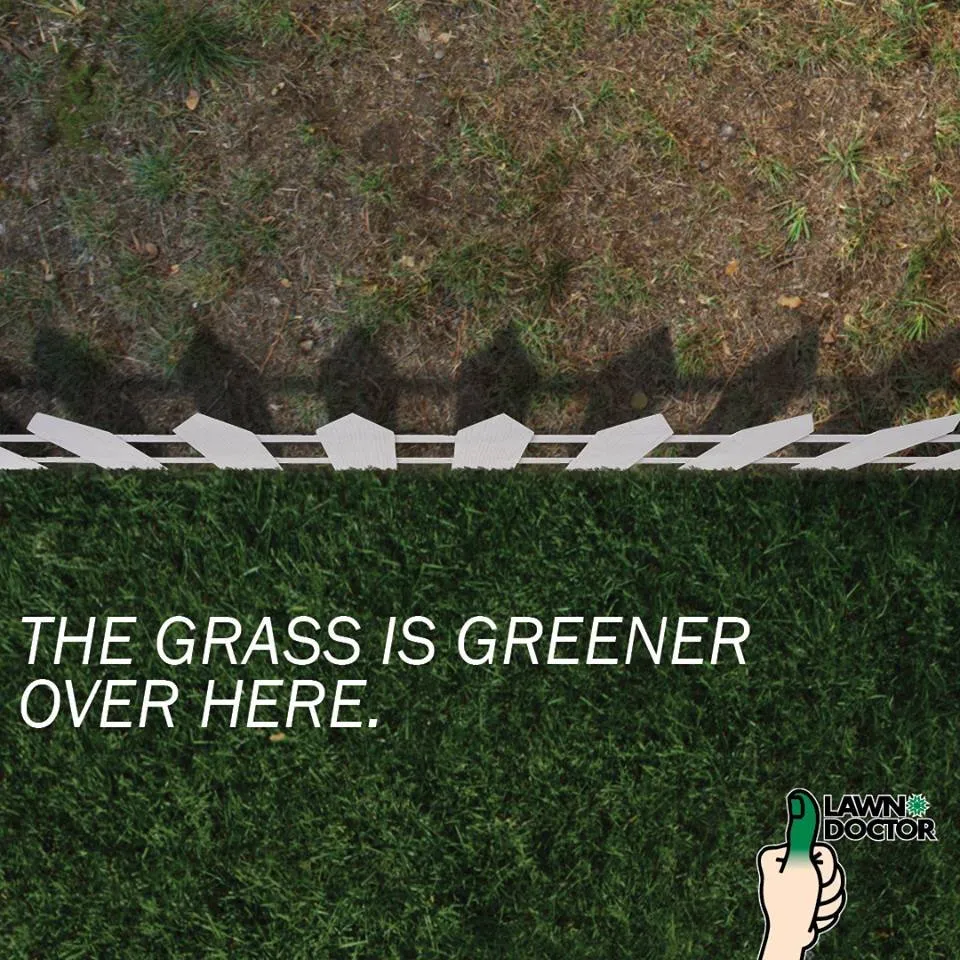 Affordable garden landscaping in Chattanooga, TN by Lawn Doctor of Chattanooga