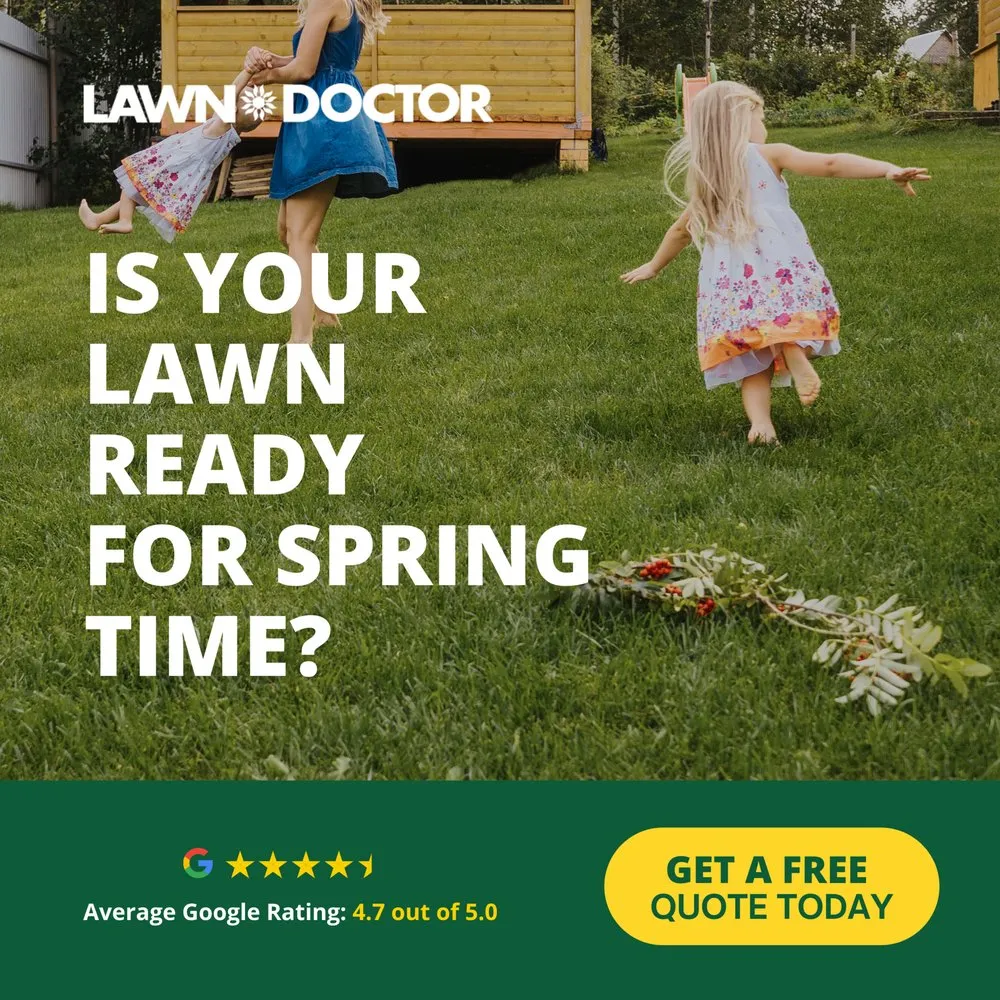 Reliable landscape installation in Chattanooga, TN by Lawn Doctor of Chattanooga