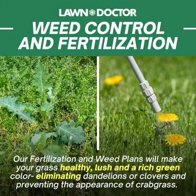 Lawn Doctor of Chattanooga Logo