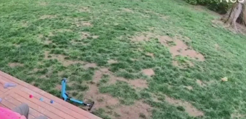 Custom landscaping services in Clarksville, TN - Lawn Doctor of Clarksville-Nashville