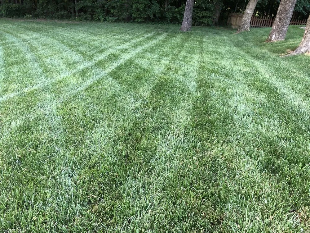 Affordable garden landscaping for residential properties across Clarksville, TN - Lawn Doctor of Clarksville-Nashville