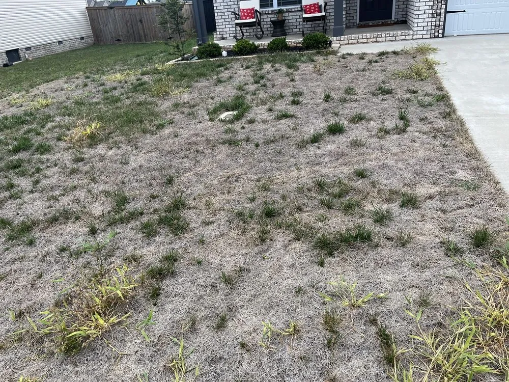 Local outdoor landscaping with custom design across Clarksville, TN - Lawn Doctor of Clarksville-Nashville