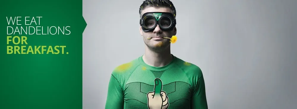 Custom outdoor landscaping experts serving Miami, FL - Lawn Doctor of Coral Gables/Kendall