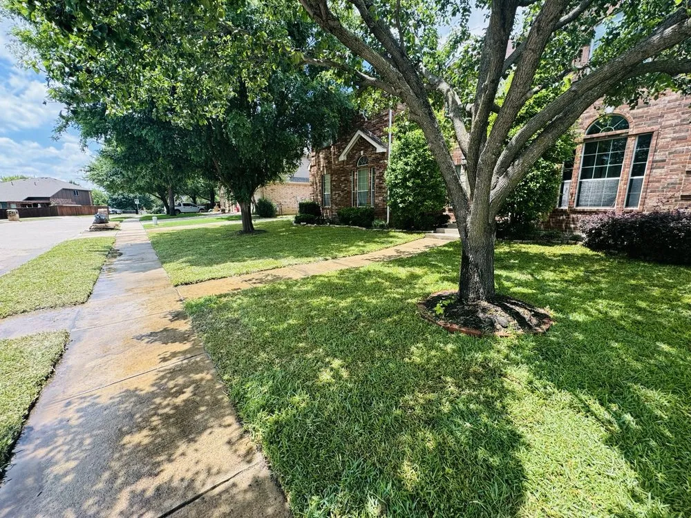 Affordable landscaping services for outdoor upgrades across Denton, TX - Lawn Doctor of Denton