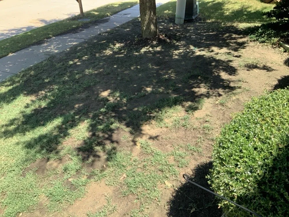 Professional yard cleanup service in Denton, TX by Lawn Doctor of Denton