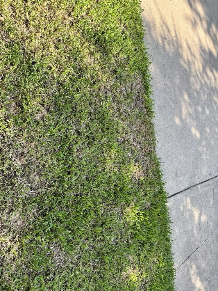 Trusted landscaping services in Denton, TX by Lawn Doctor of Denton