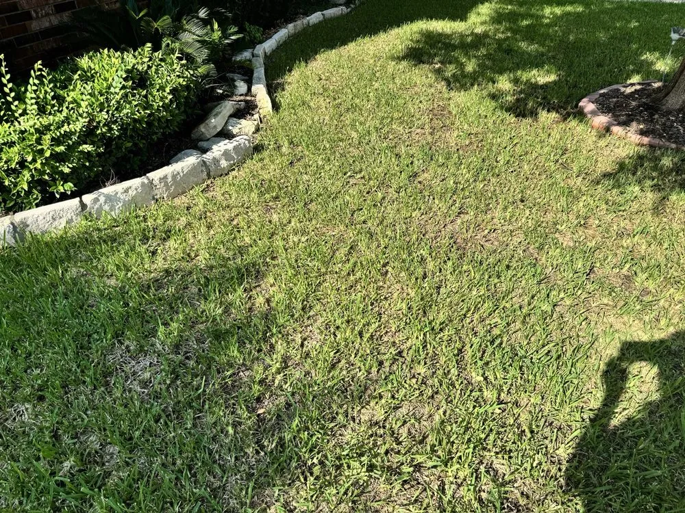 Top-rated residential landscaping experts serving Denton, TX - Lawn Doctor of Denton