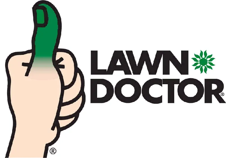 Top-rated yard cleanup service in Olive Branch, MS - Lawn Doctor of Desoto County