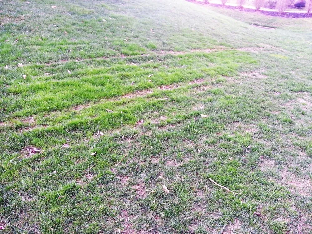 Professional landscape installation in Chalfont, PA by Lawn Doctor of Doylestown