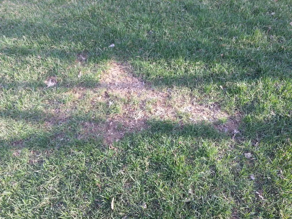 Trusted lawn mowing service in Chalfont, PA - Lawn Doctor of Doylestown