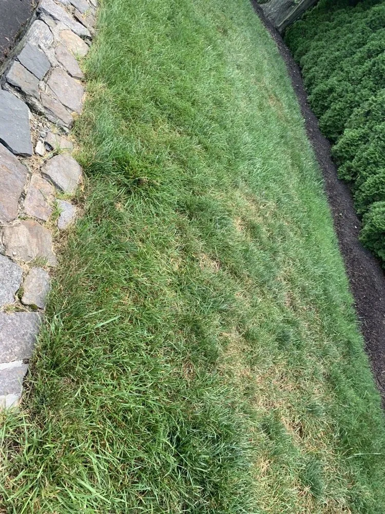 Top-rated landscape design in Stamford, CT - Lawn Doctor of Fairfield County and Westchester County