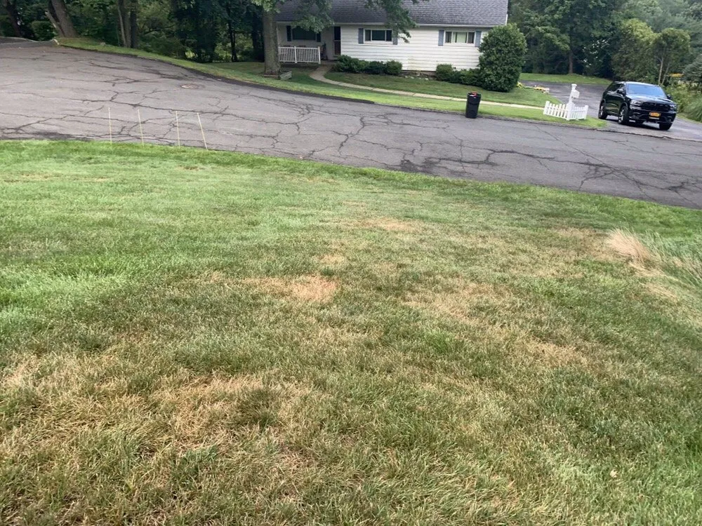 Expert lawn mowing service for year-round maintenance in Stamford, CT by Lawn Doctor of Fairfield County and Westchester County