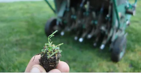 Top-rated outdoor landscaping in Fort Collins, CO by Lawn Doctor of Fort Collins