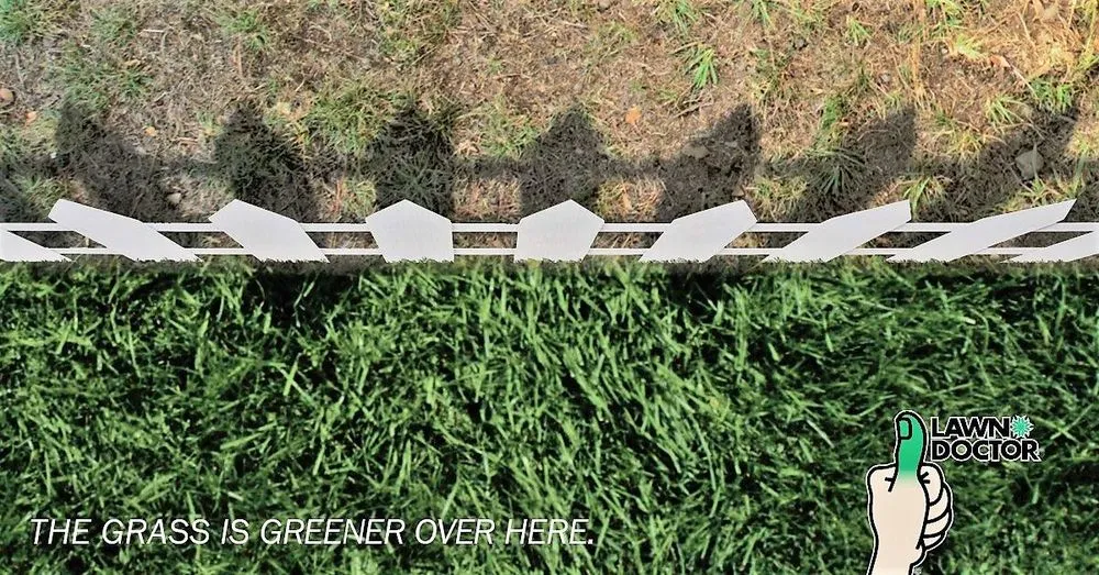 Trusted landscaping services in Cresson, TX by Lawn Doctor of Granbury-Burleson-Weatherford