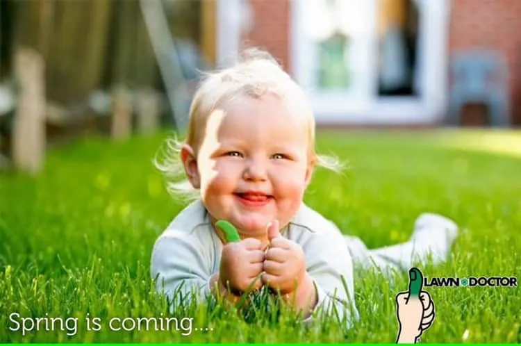 Top-rated lawn mowing service experts serving Cresson, TX - Lawn Doctor of Granbury-Burleson-Weatherford