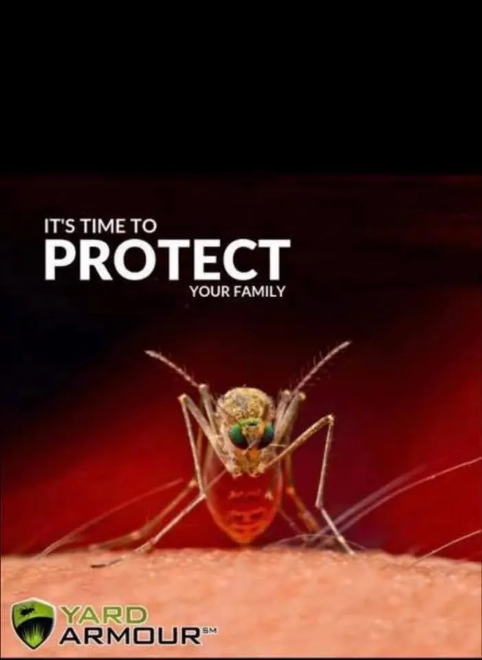 Reliable landscaping services in Cresson, TX by Lawn Doctor of Granbury-Burleson-Weatherford