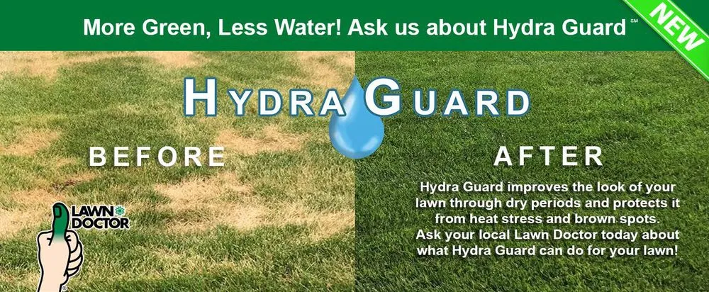 Reliable yard cleanup service in Cresson, TX by Lawn Doctor of Granbury-Burleson-Weatherford