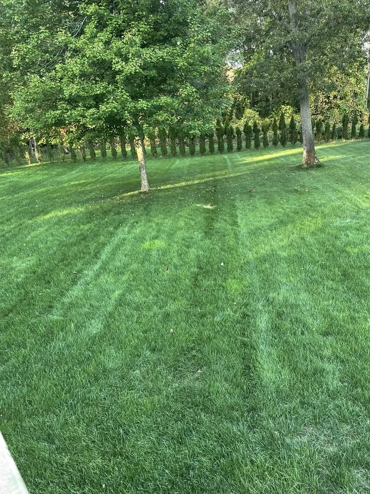 Top-rated lawn mowing service for year-round maintenance in Sandy Hook, CT by Lawn Doctor of Greater Oxford